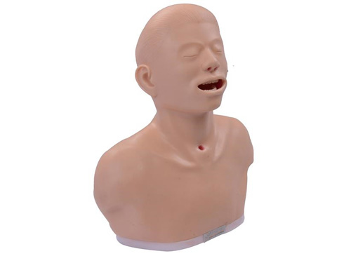 甲状腺检查训练模型.jpg