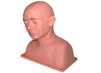 高级耳冲洗训练模型.jpg