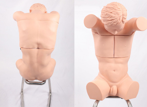 胸腔（背部）穿刺训练模型.jpg