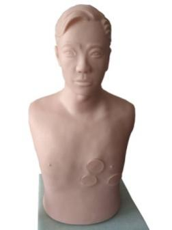 心包穿刺与心内注射仿真模型.png