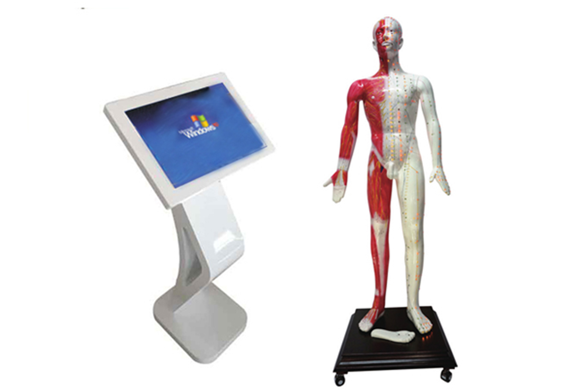 多媒体人体针灸穴位交互数字平台.jpg