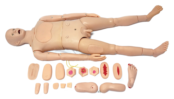 1764122358845360.jpg 高级全功能护理人训练模型(男性).jpg