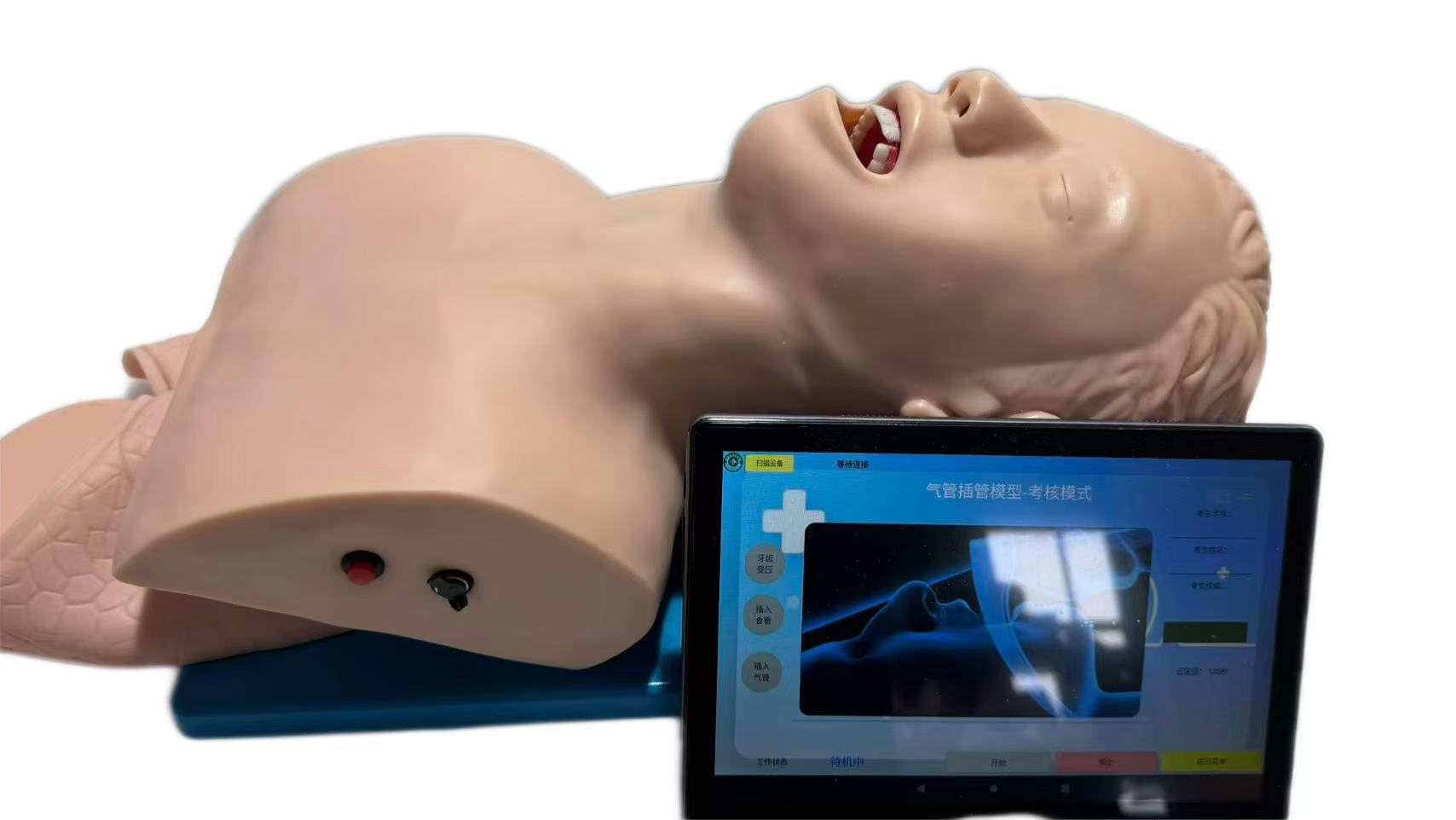 移动交互式电子人体气管插管训练模型.png