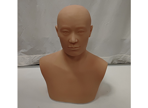针灸头部训练模型.jpg